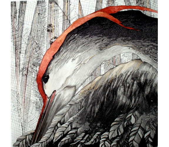 Beki Killorin "Red Preener"